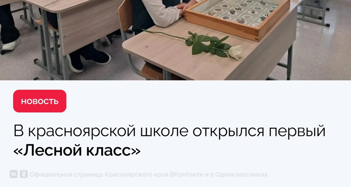 Первый «Лесной класс» в Красноярске даст выпускникам дополнительные баллы при поступлении