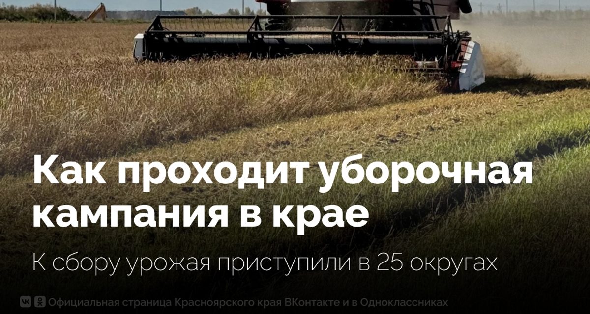 В Красноярском крае аграрии обмолотили более 104 тысяч гектаров зерновых