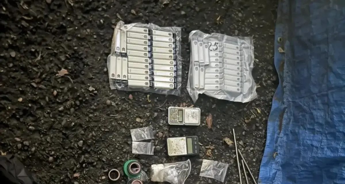 Братья-близнецы возили наркотики для двух интернет-магазинов и попались с полкилограммом мефедрона
